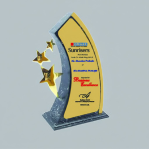 Marble and Metal Trophy