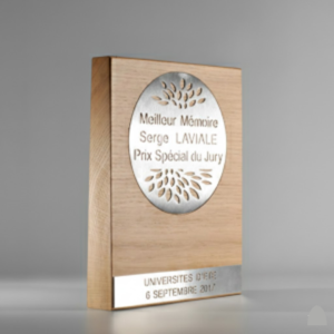 Self-Standing Wooden and Acrylic Trophy (Copy)