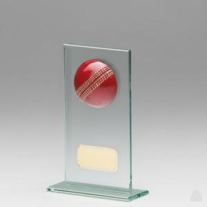 Clear Crystal Half Ball Trophy with Engraving