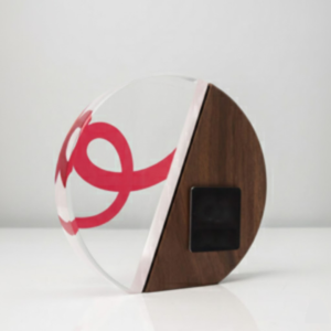 Self-Standing Wooden and Acrylic Trophy (Copy)