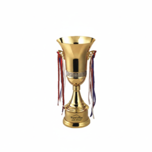 Customised Brass Material High Quality Trophy 8