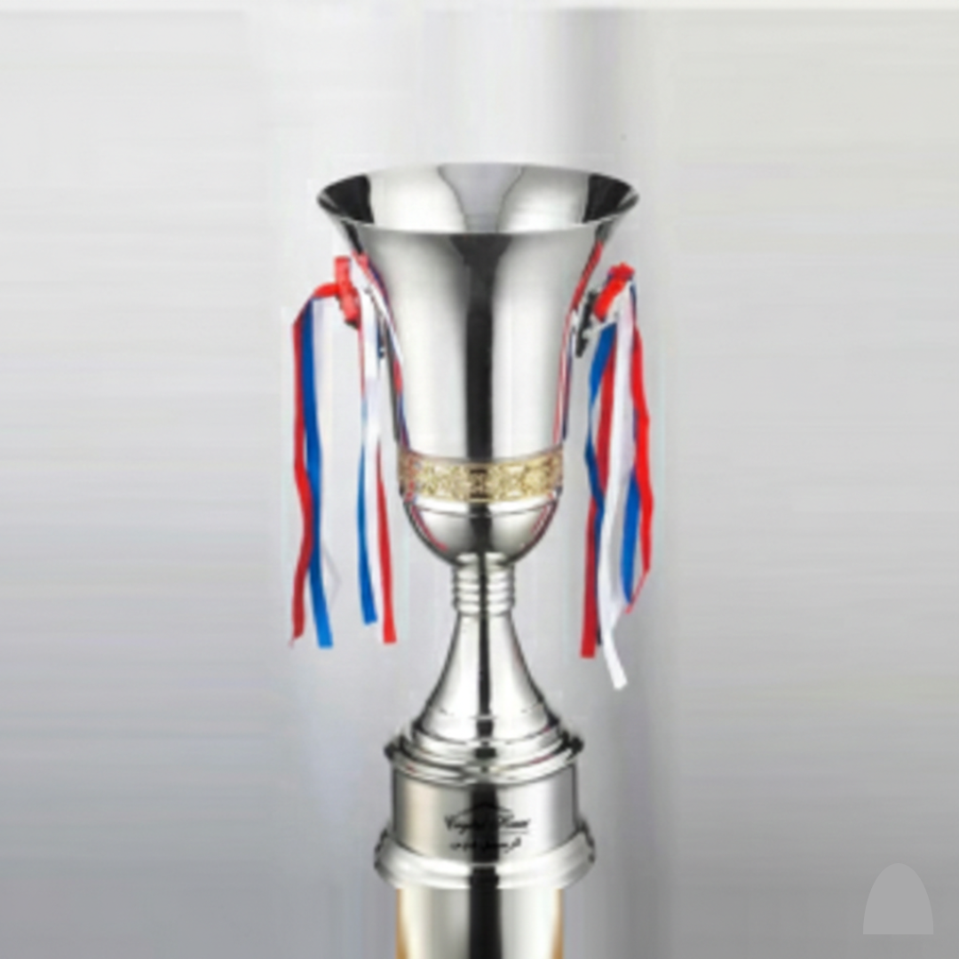 Customised Brass Material High Quality Trophy 6