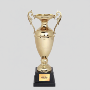Customised Brass Material High Quality Trophy 5