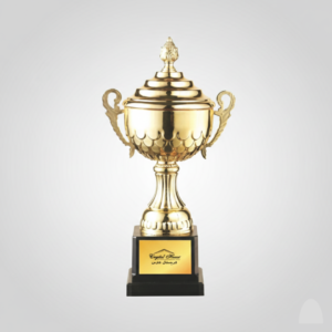 Customised Brass Material High Quality Trophy 4