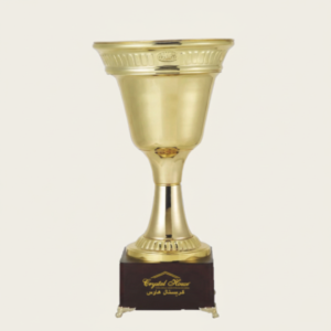 Customisez Brass Material High Quality Trophy 1