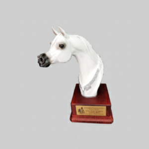 Horse Trophy 61