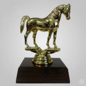Horse Trophy 35