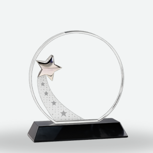 Clear Crystal Trophy with Black Base