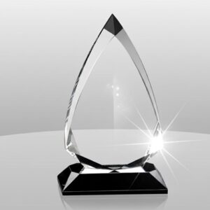 Clear Crystal Trophy with Black Base